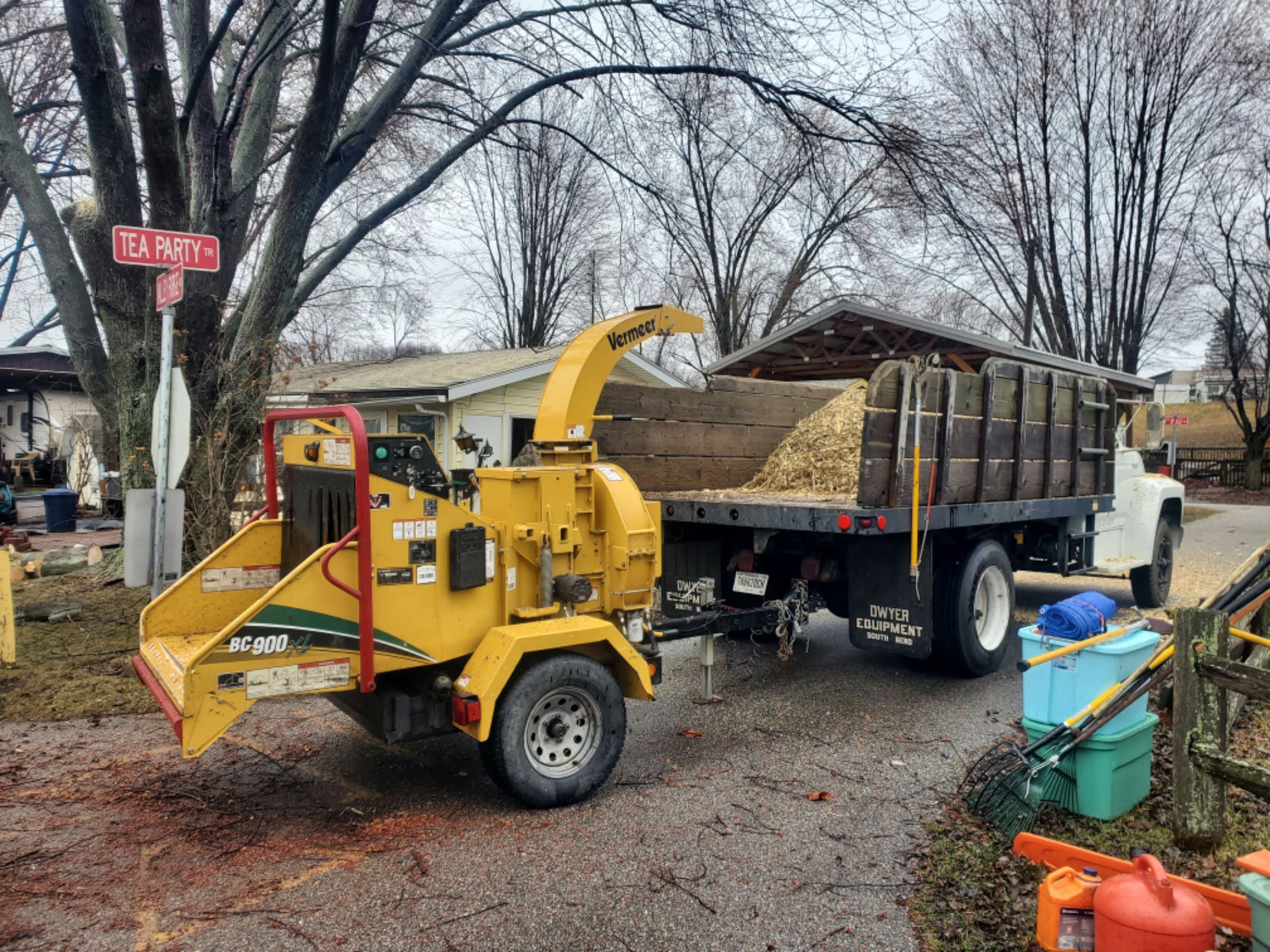 Professional tree service equipment and team at work